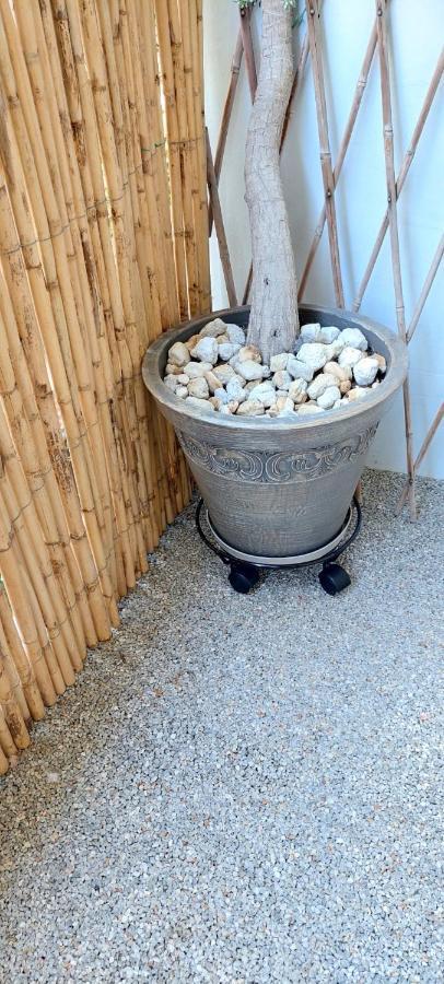Athens Riviera Apt With Seaview, 15' To Acropolis מראה חיצוני תמונה