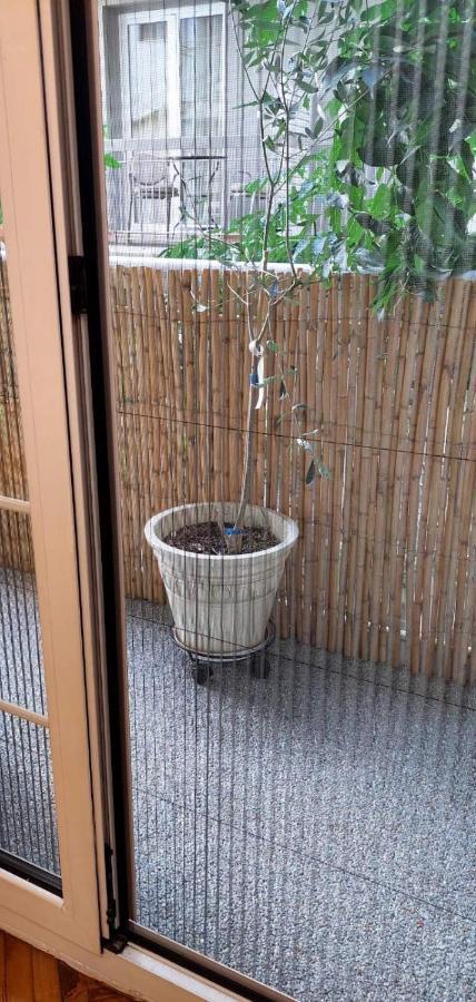 Athens Riviera Apt With Seaview, 15' To Acropolis מראה חיצוני תמונה