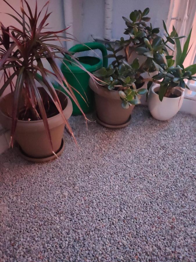Athens Riviera Apt With Seaview, 15' To Acropolis מראה חיצוני תמונה